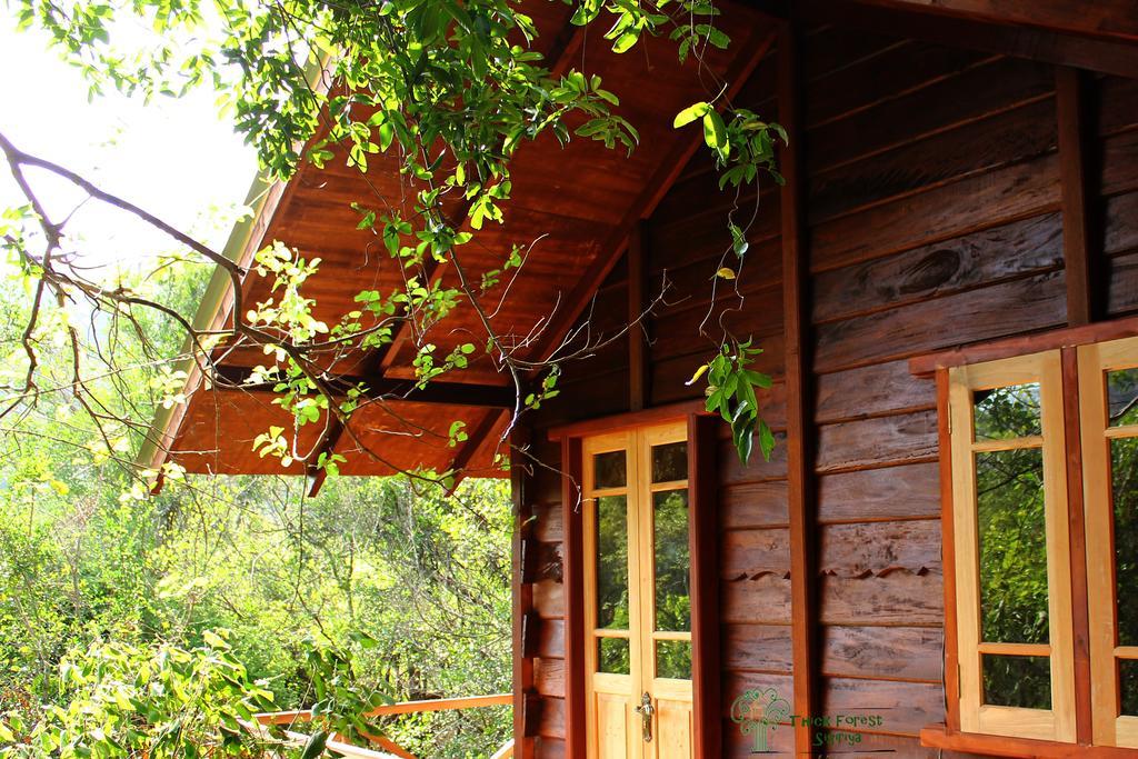 The Thick Forest Sigiriya Quarto foto