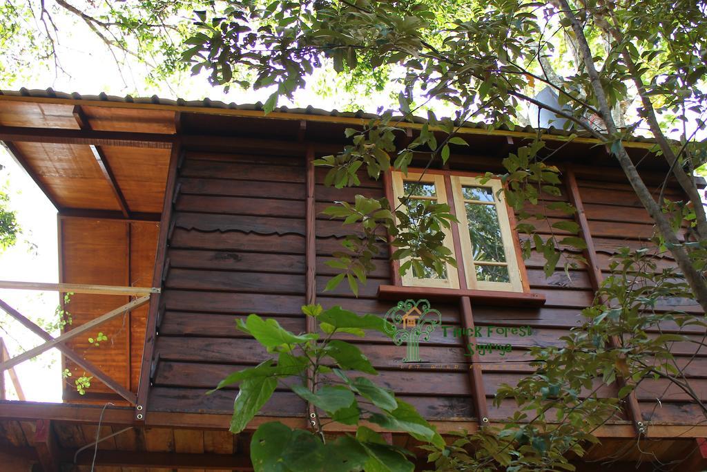 The Thick Forest Sigiriya Quarto foto